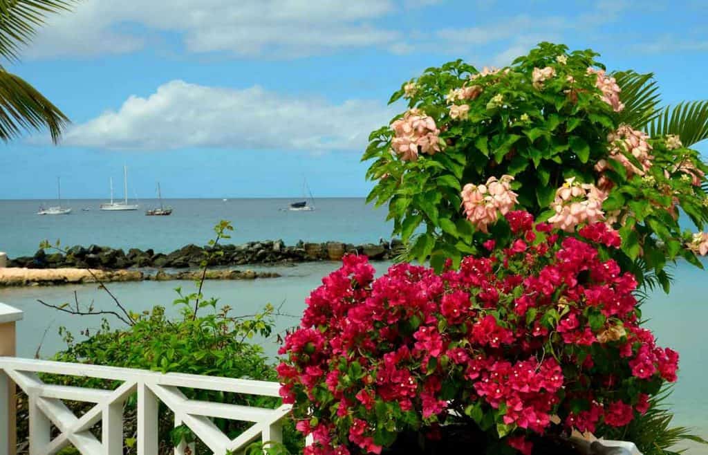 tobago