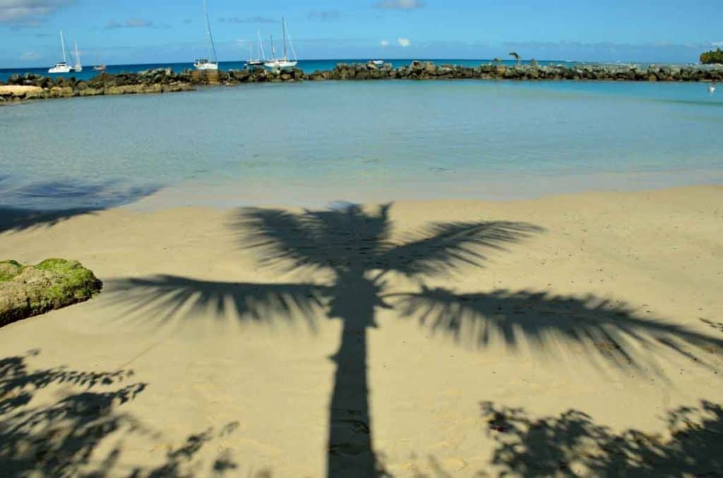 coco reef hotell tobago