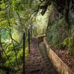 Höga berg och djupa dalar på Madeira