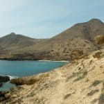 Fastvuxna i Porto Santo